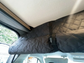 1PC Quilted Blackout Cab Divider Cover for Ducato, Boxer & Relay Vans